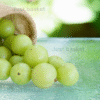 Amla