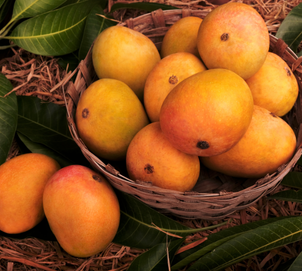 Mango
