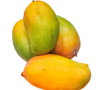 Kesar Mangoes 3 KG